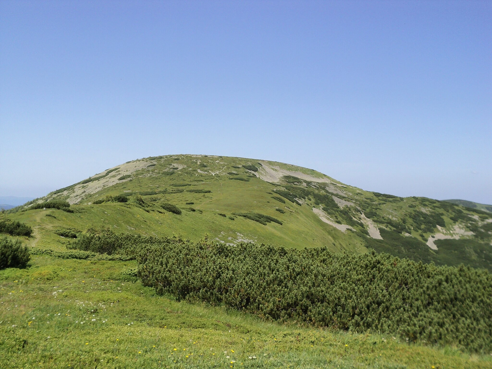 Gropa
