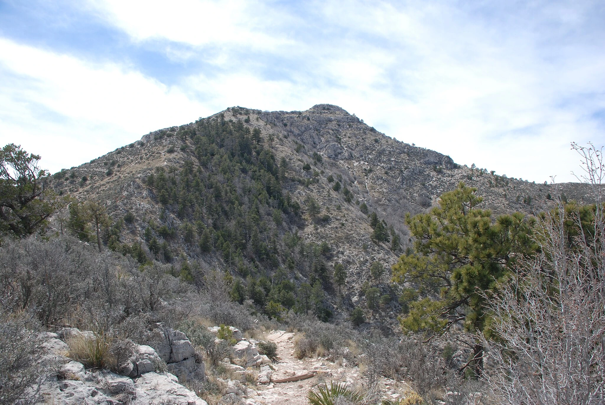 Guadalupe Peak