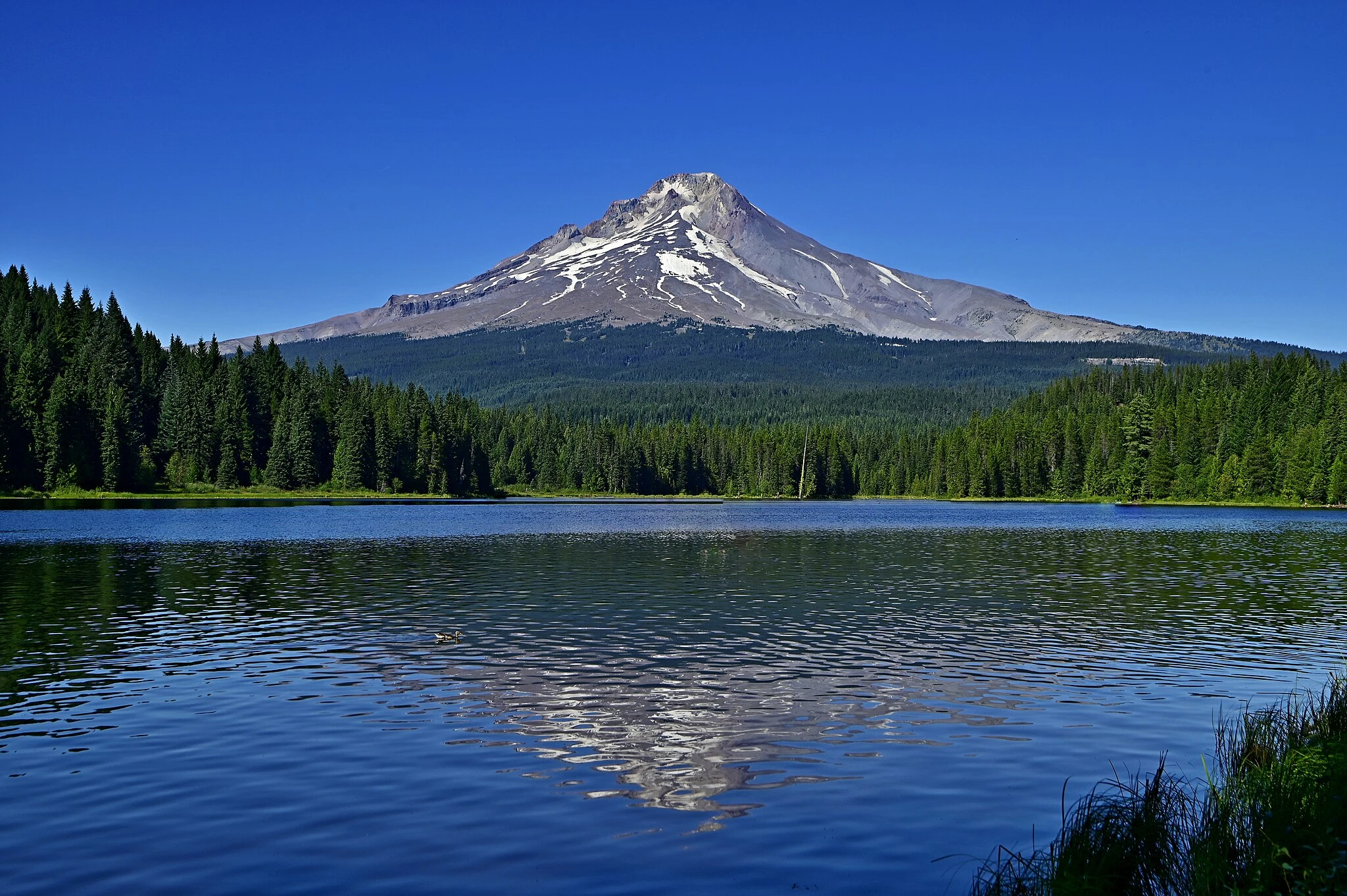 Mount Hood