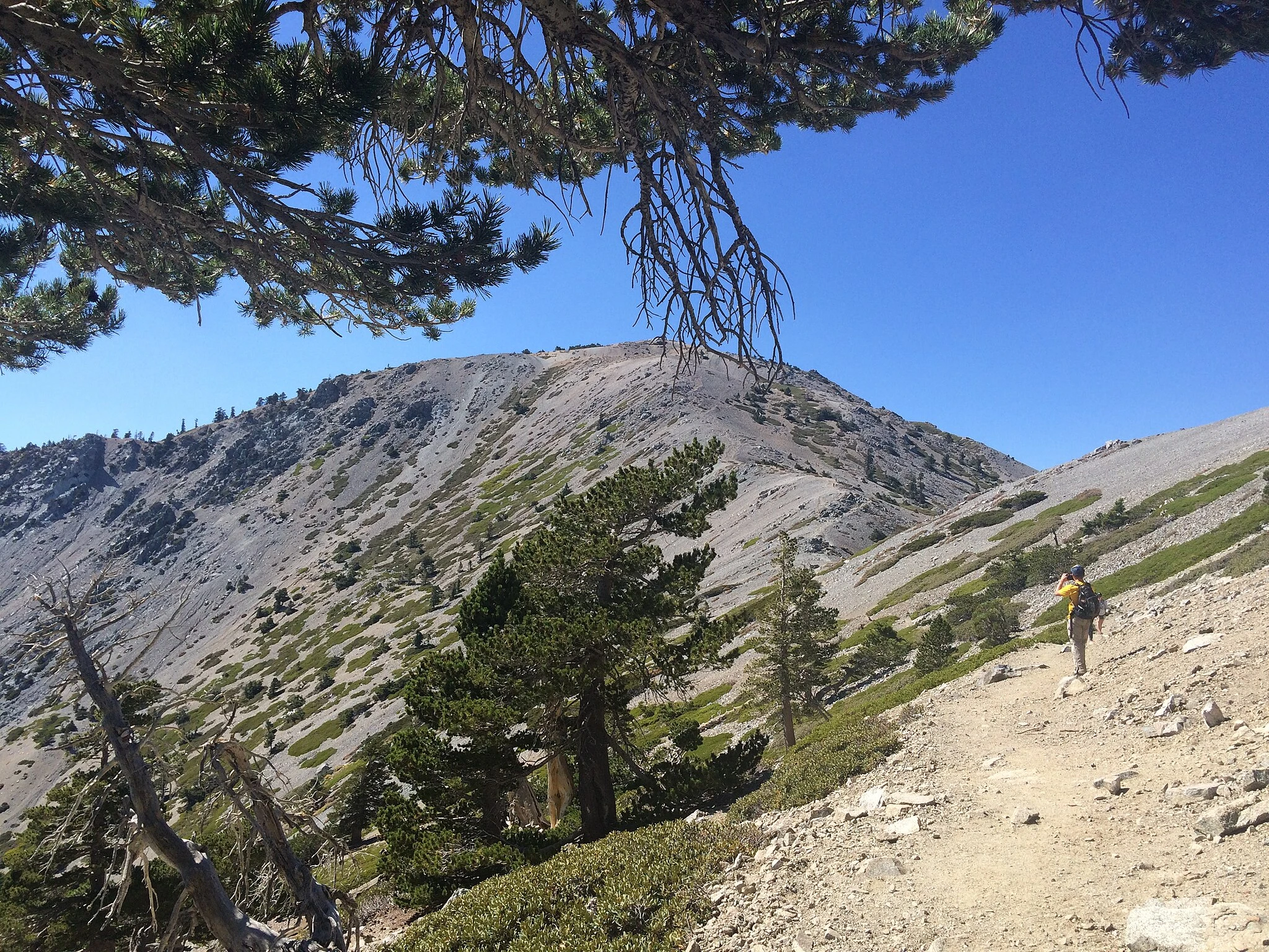 Mount San Antonio
