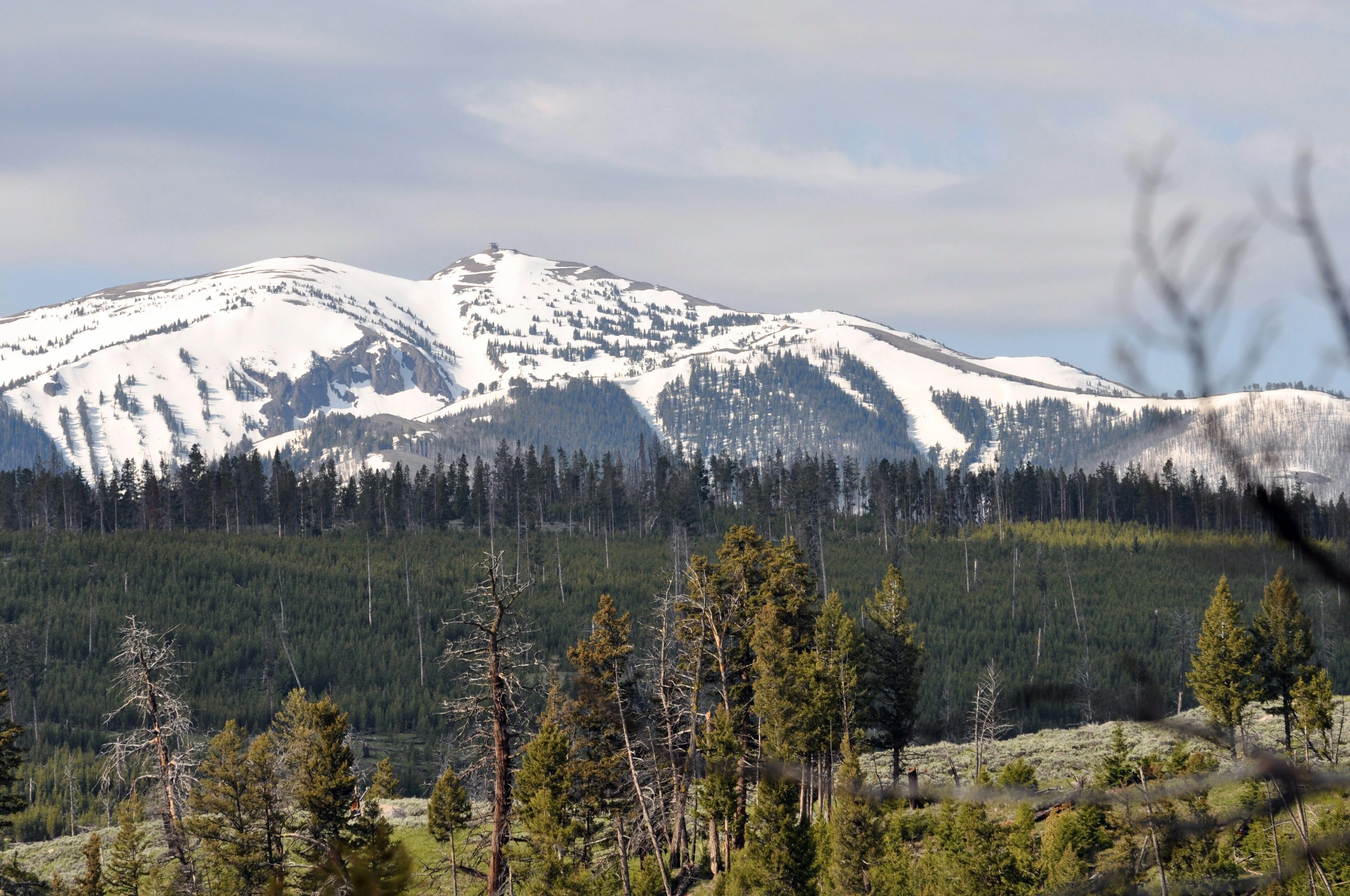 Mount Washburn