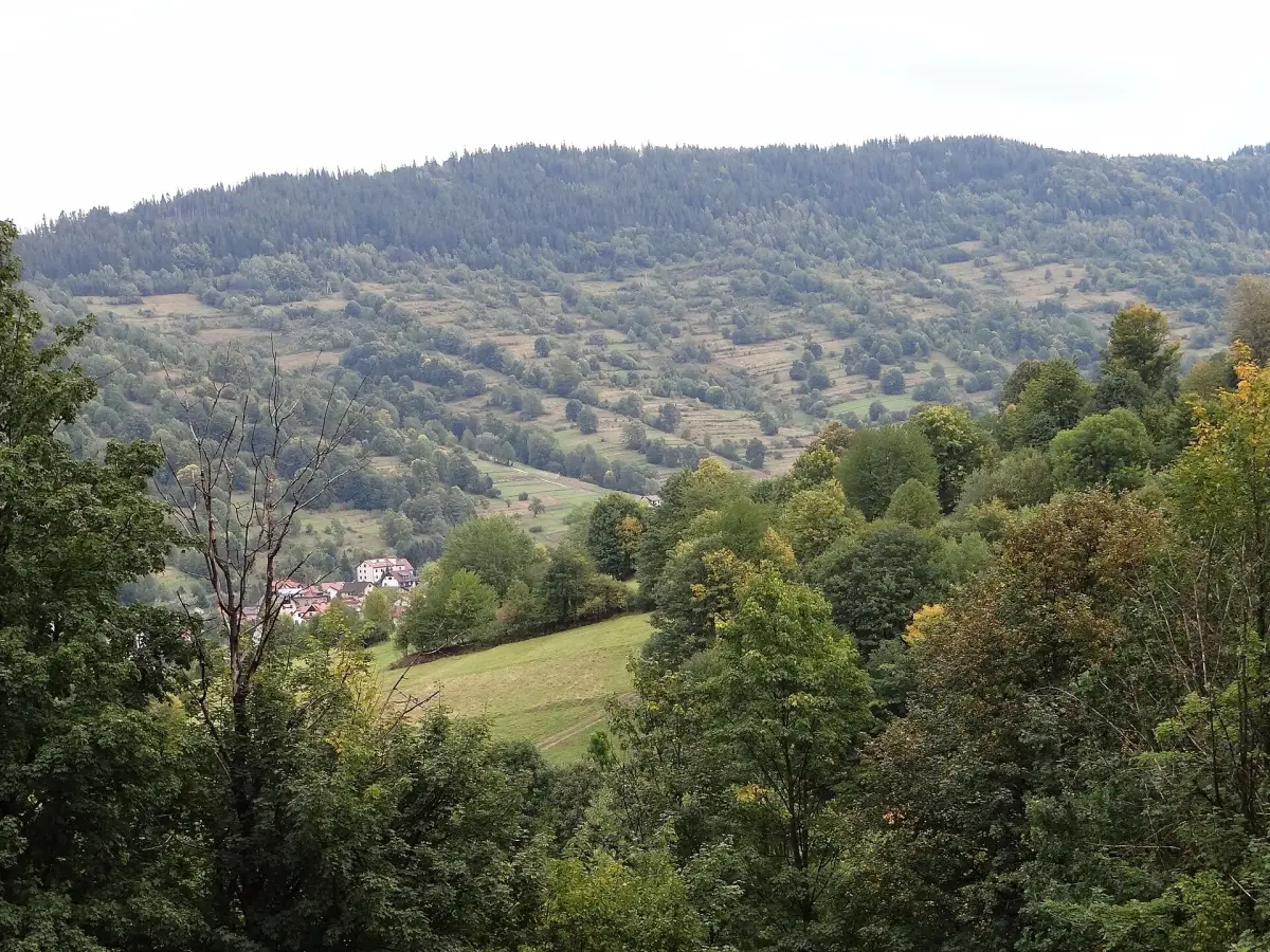Abrahamów
