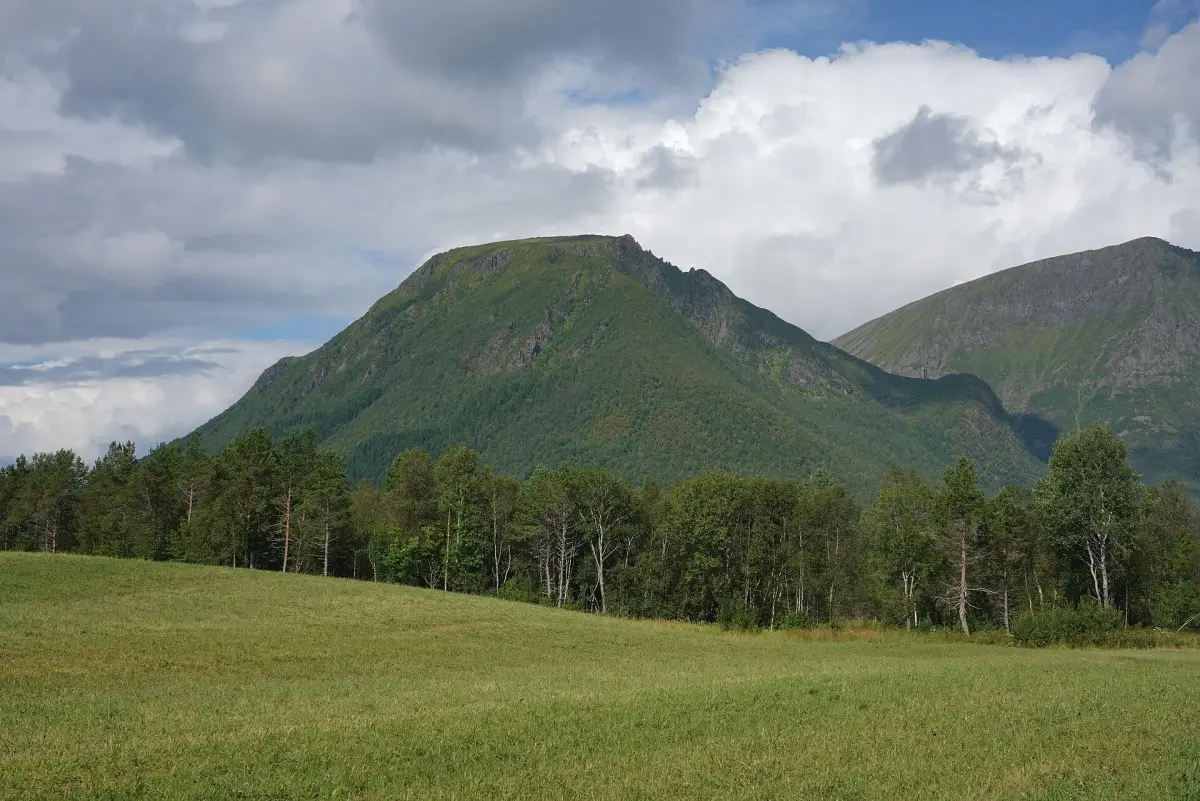 Allitindane