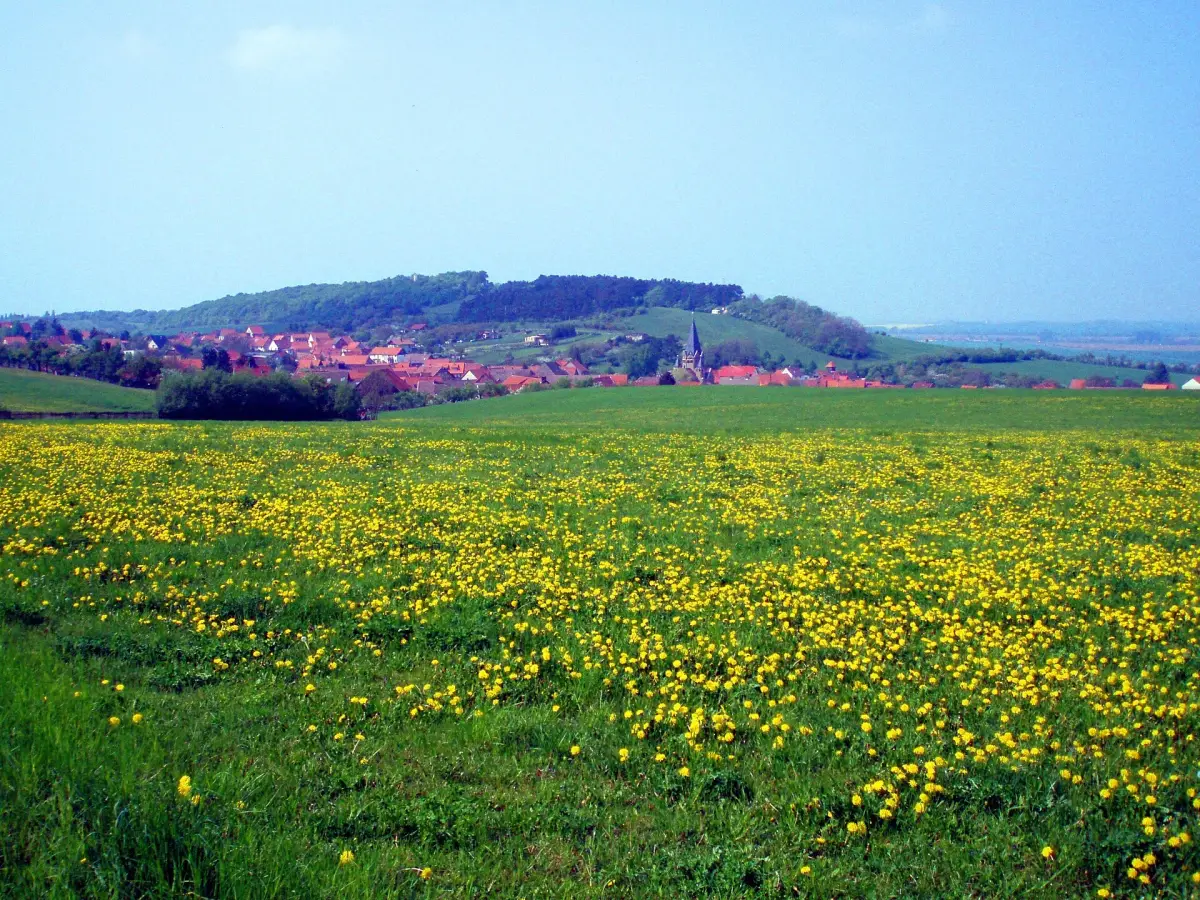 Austberg