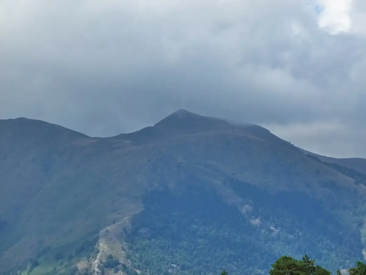 Coth de Fontfreda