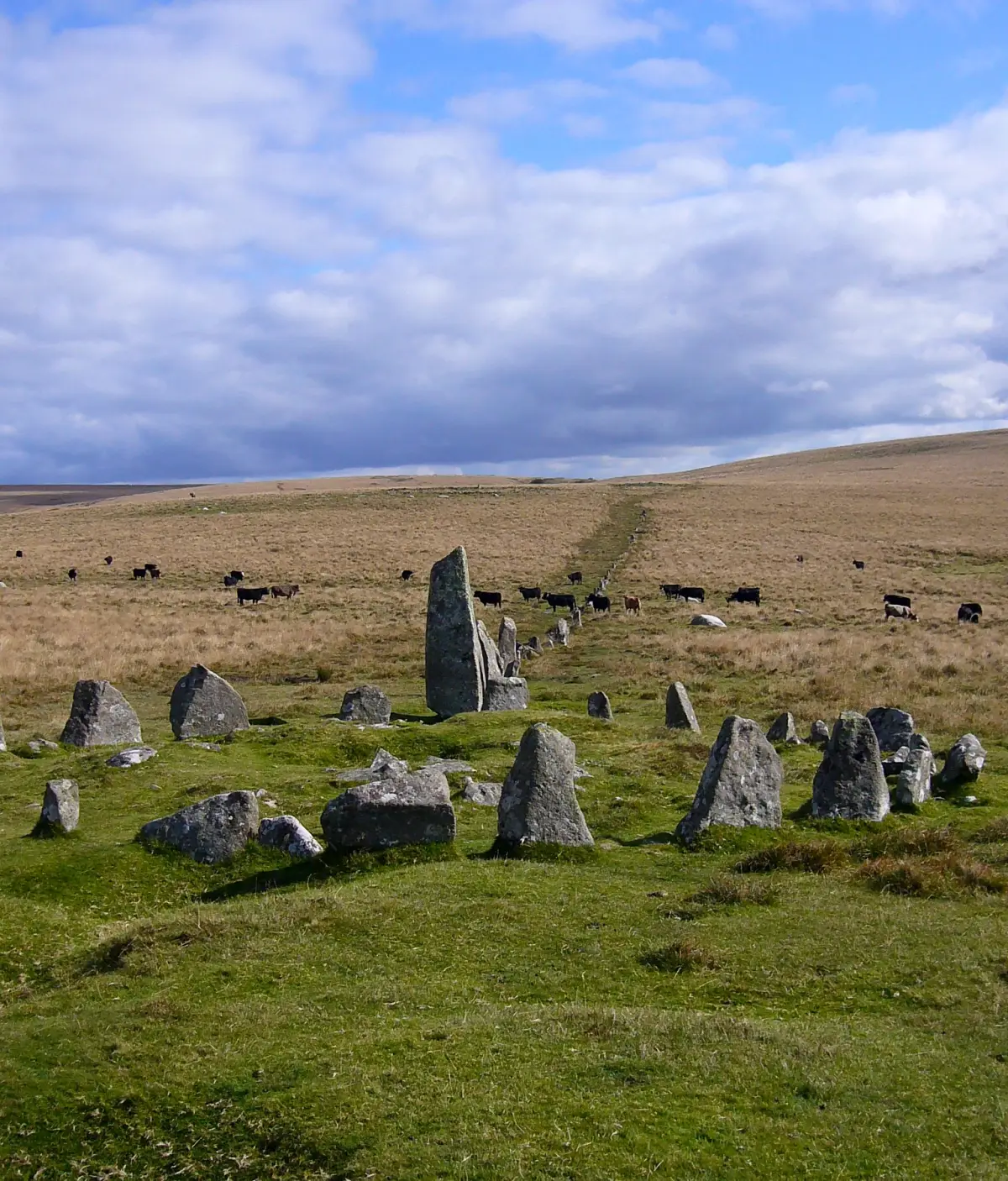 Down Tor