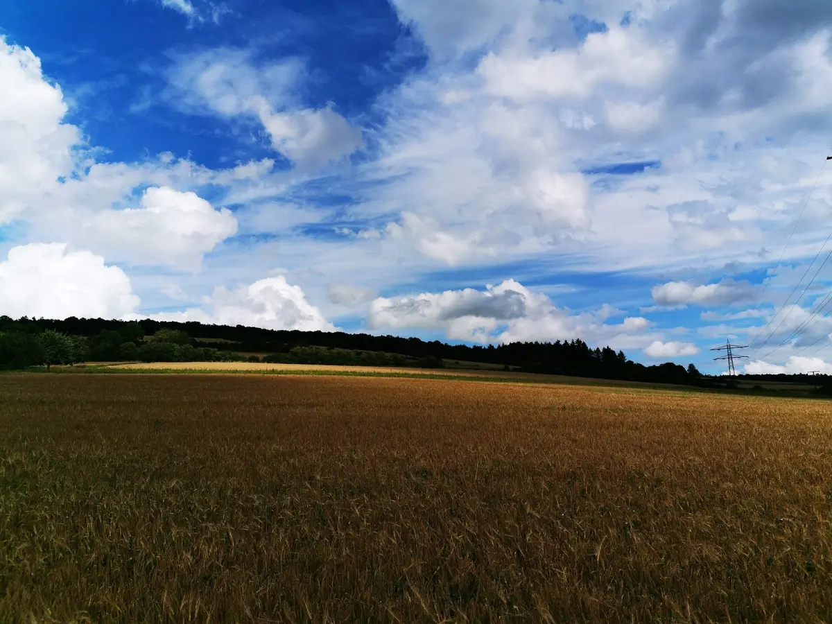 Hammberg