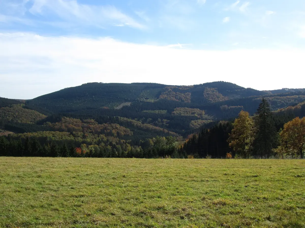 Himberg