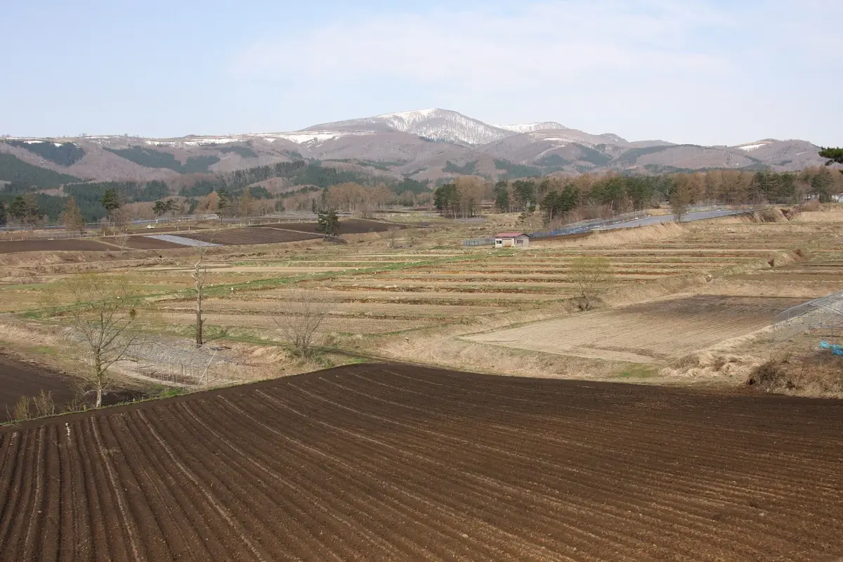 Inaniwa Dake