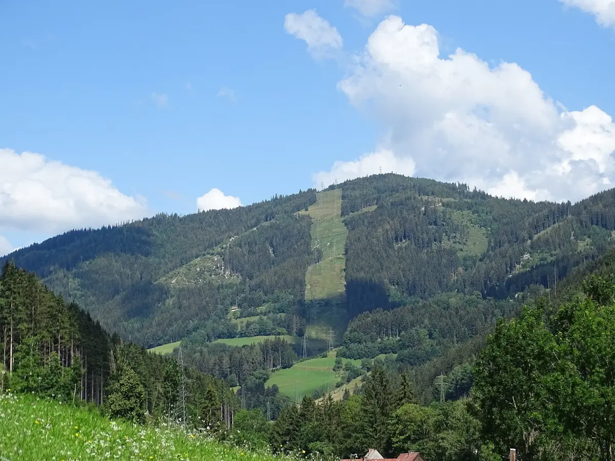 Lammkogel