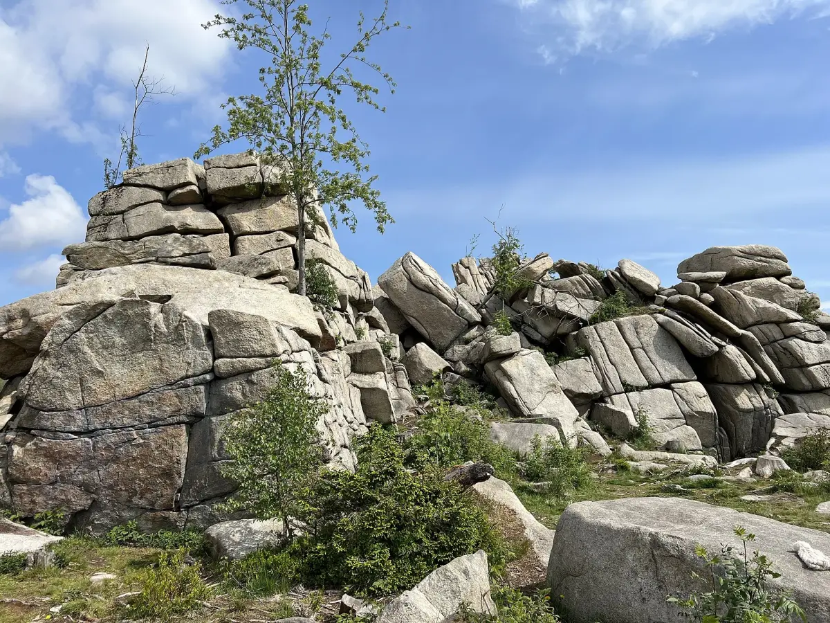 Mauseklippe