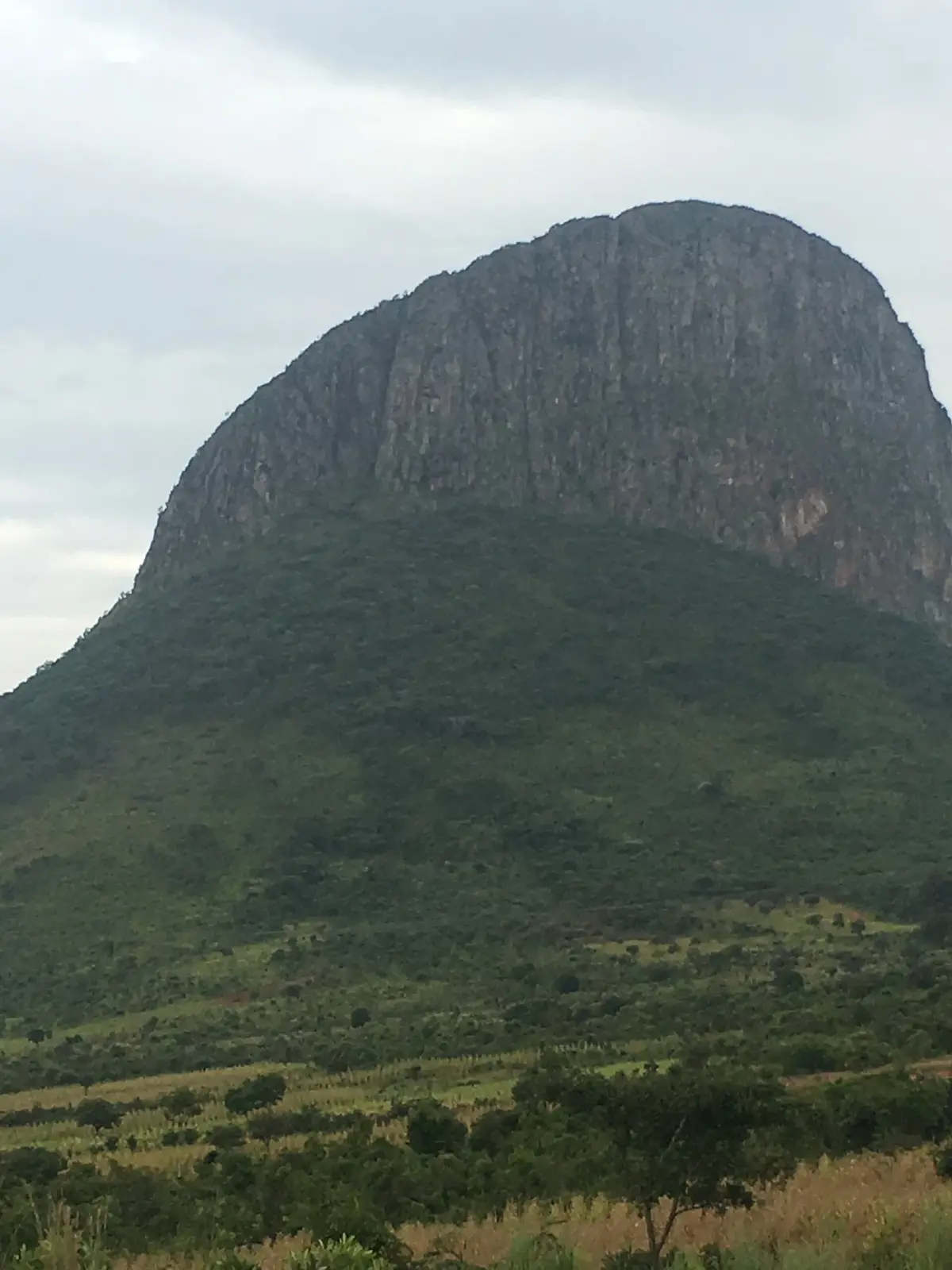 Môco