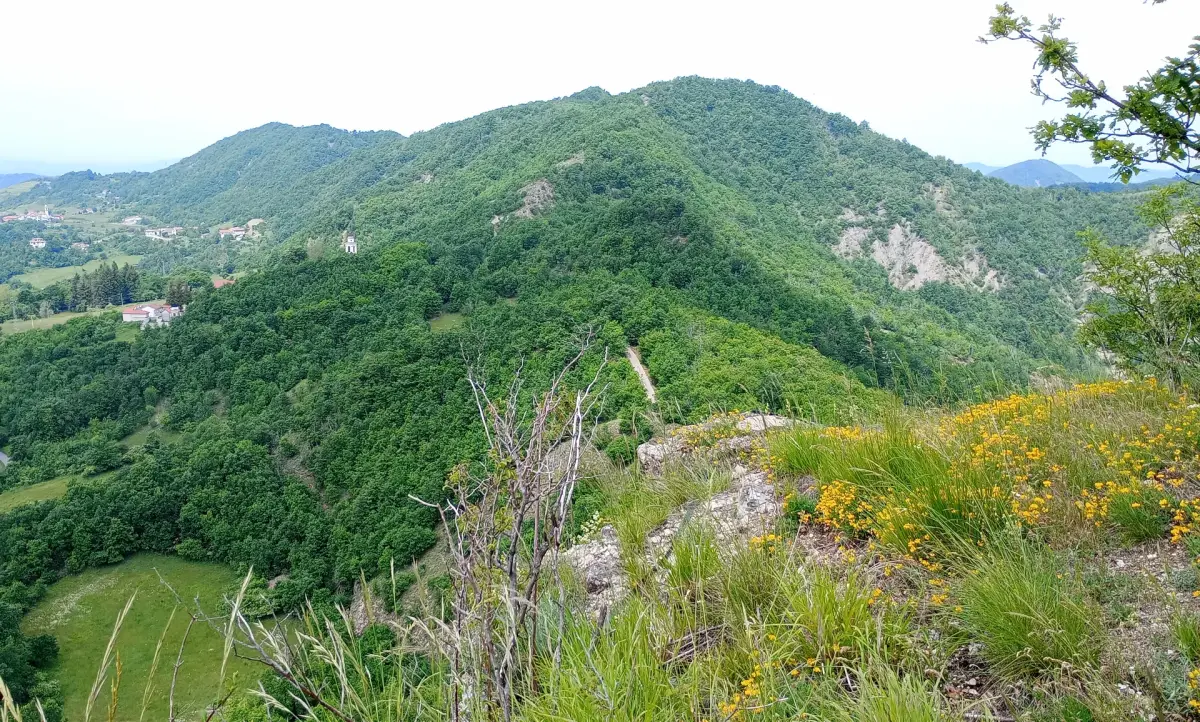 Monte Osesa
