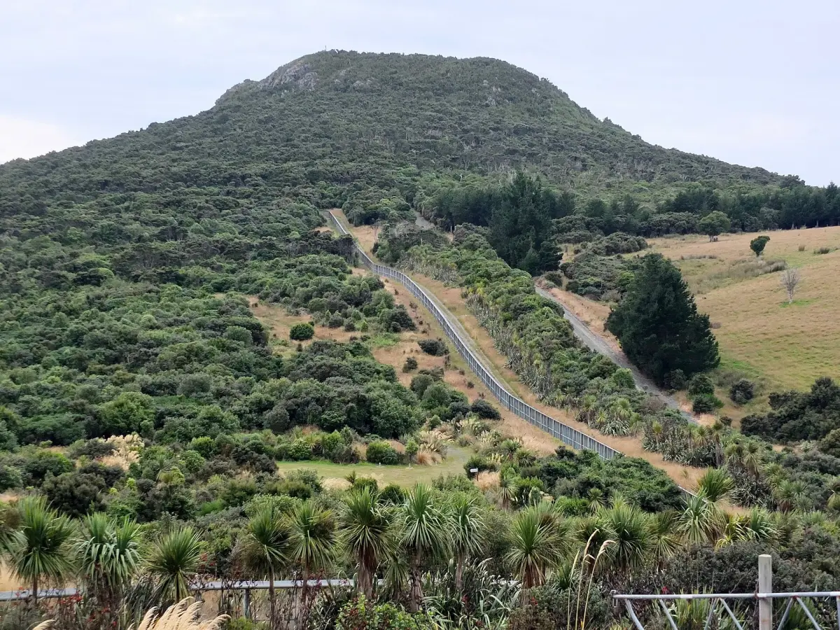 Mopanui