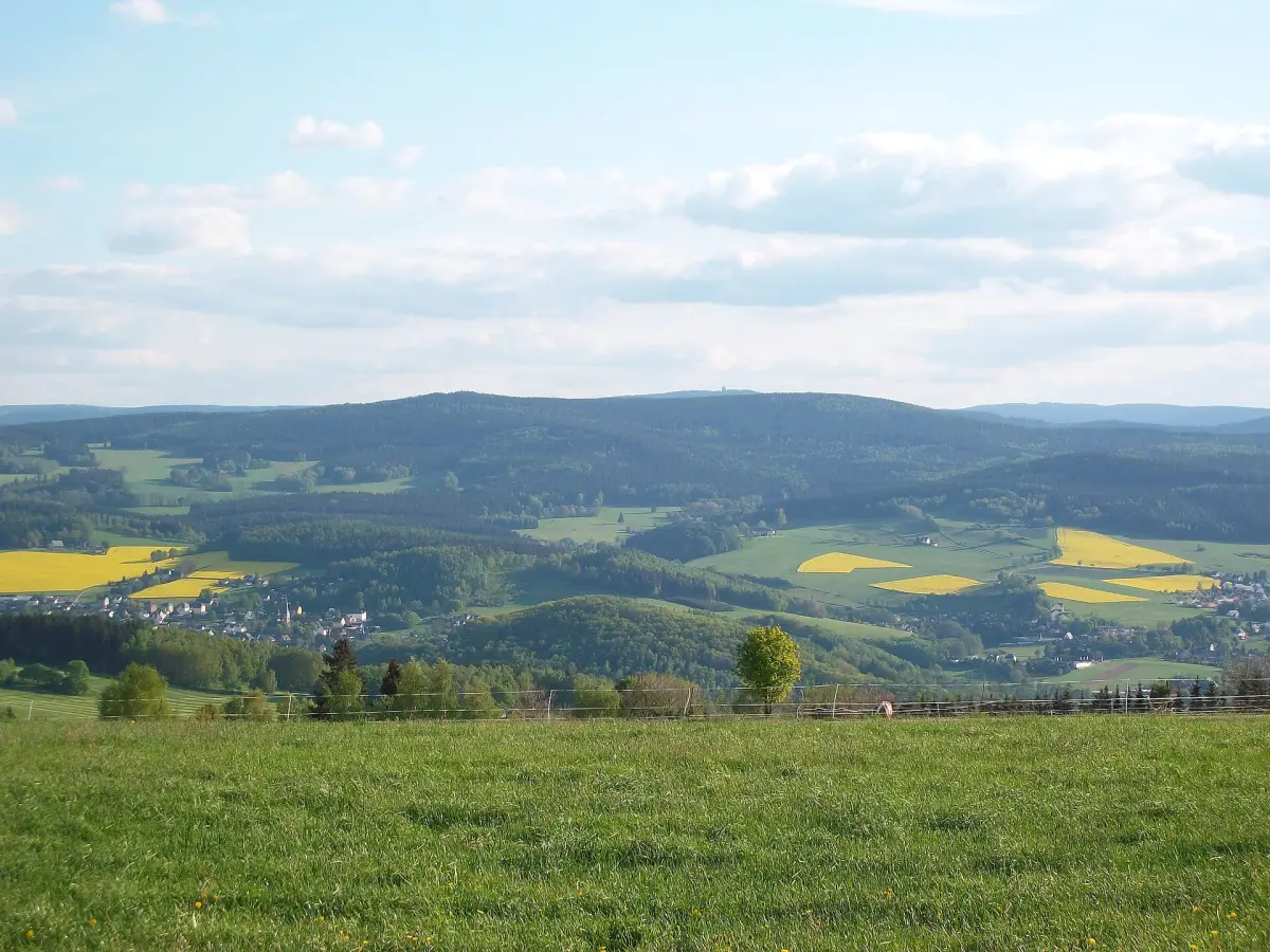 Morgenleithe