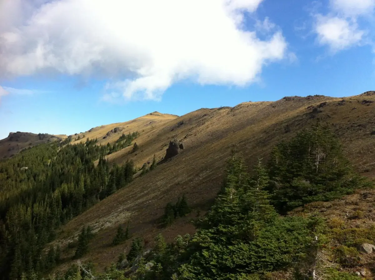 Mount Townsend