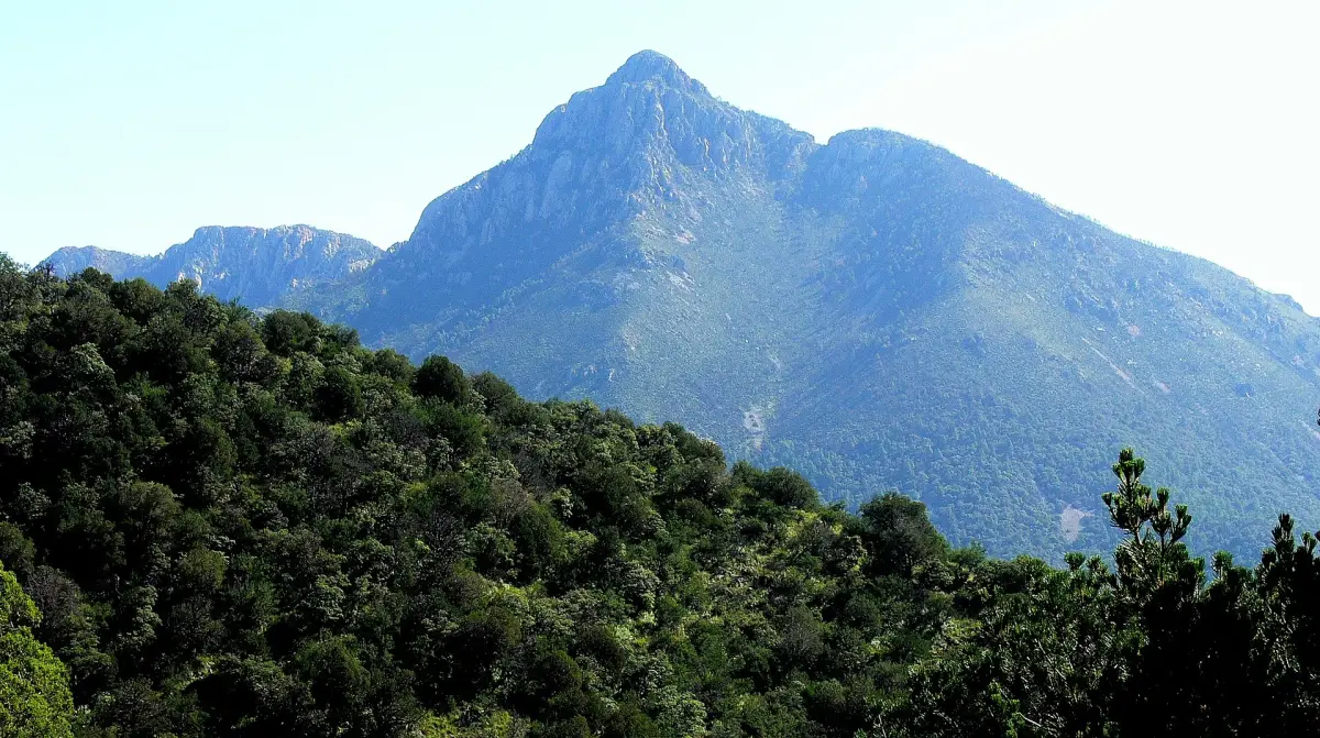 Mount Wrightson