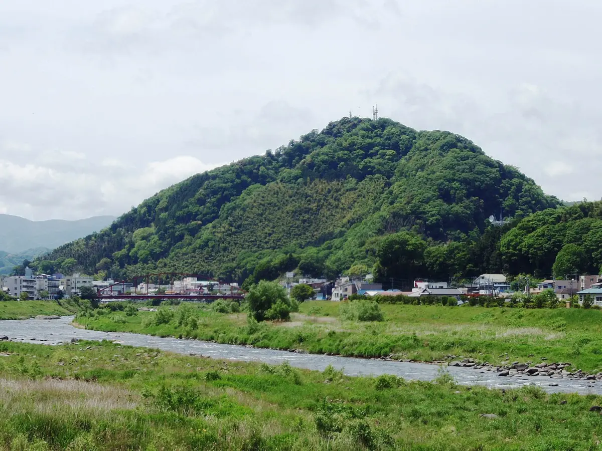 Mt. Jo