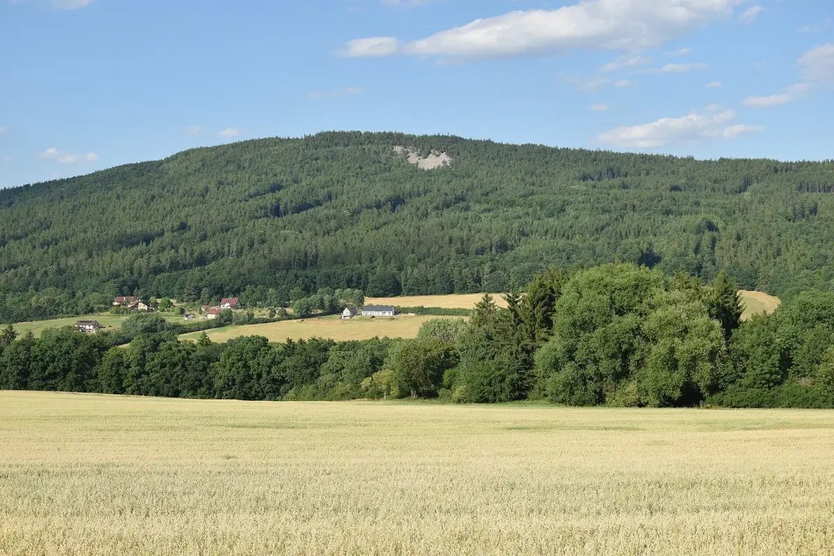 Plešivec