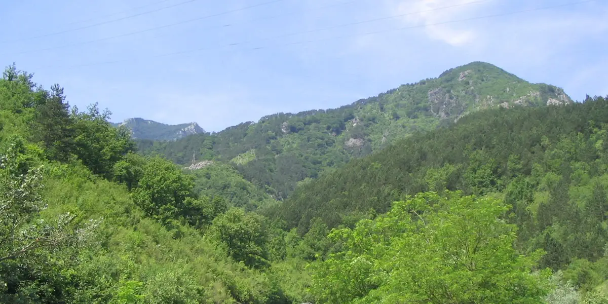 Pločno
