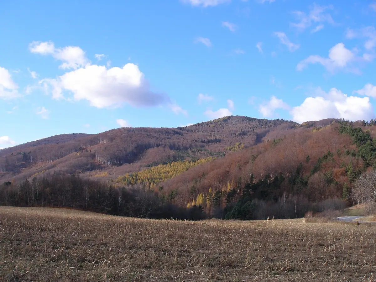 Rohačka