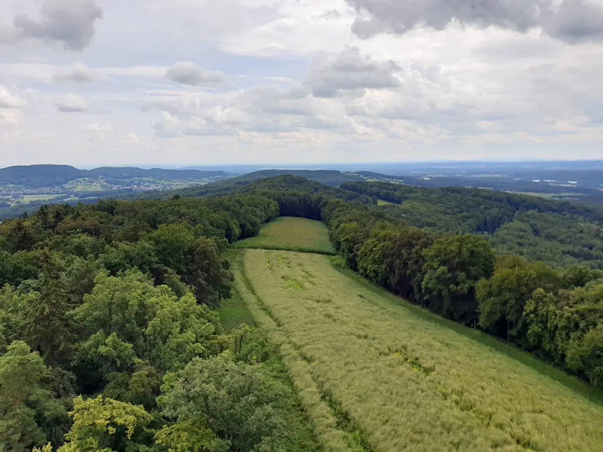 Rosenberg