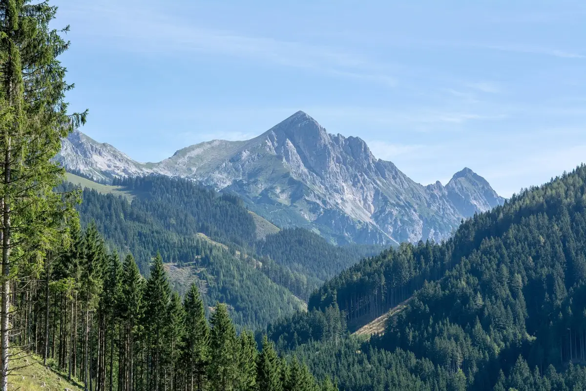 Scheiblingstein