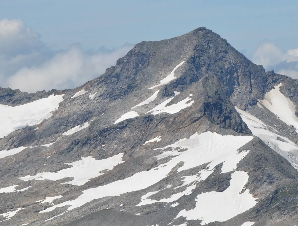 Seekopf