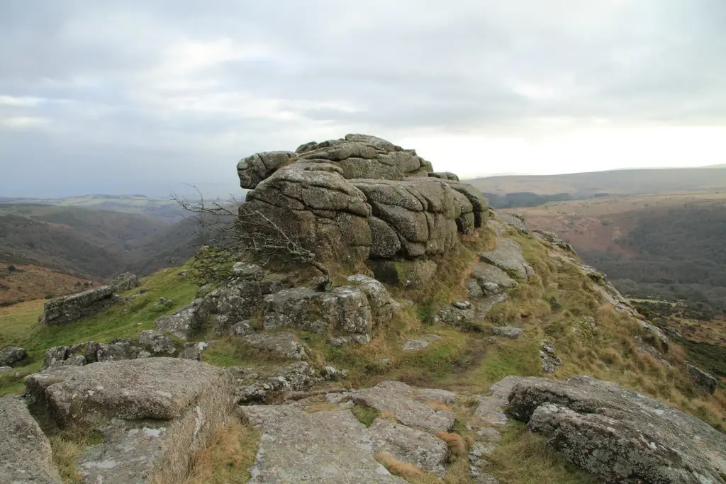 Sharp Tor
