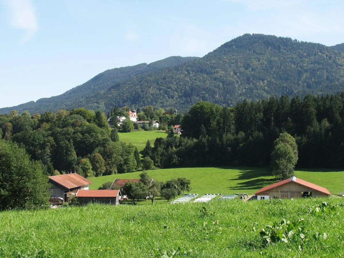 Stallauer Eck
