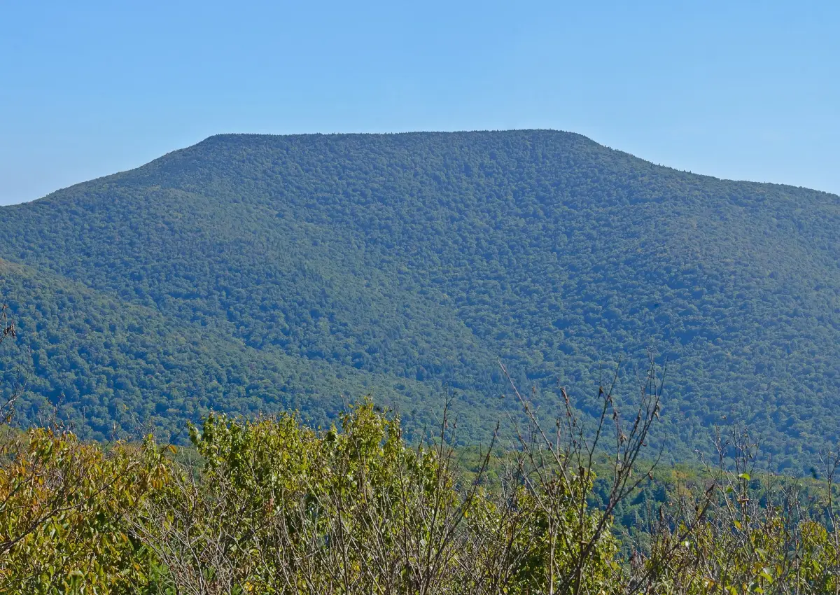 Table Mountain