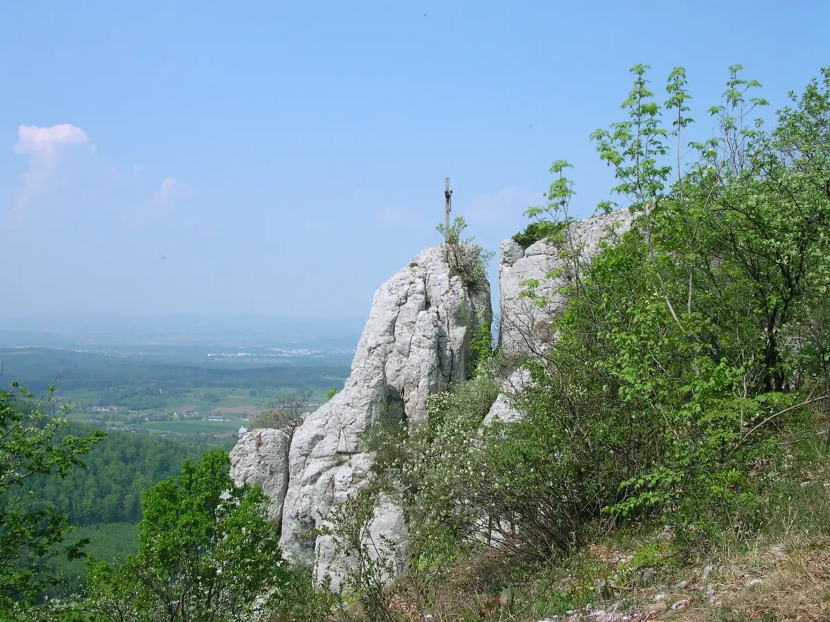 Wackerstein