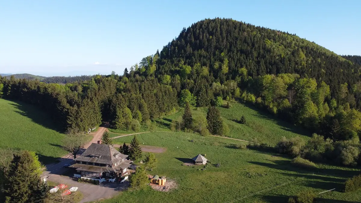Waligóra