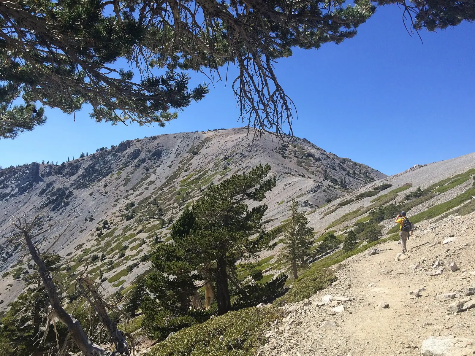 Mount San Antonio