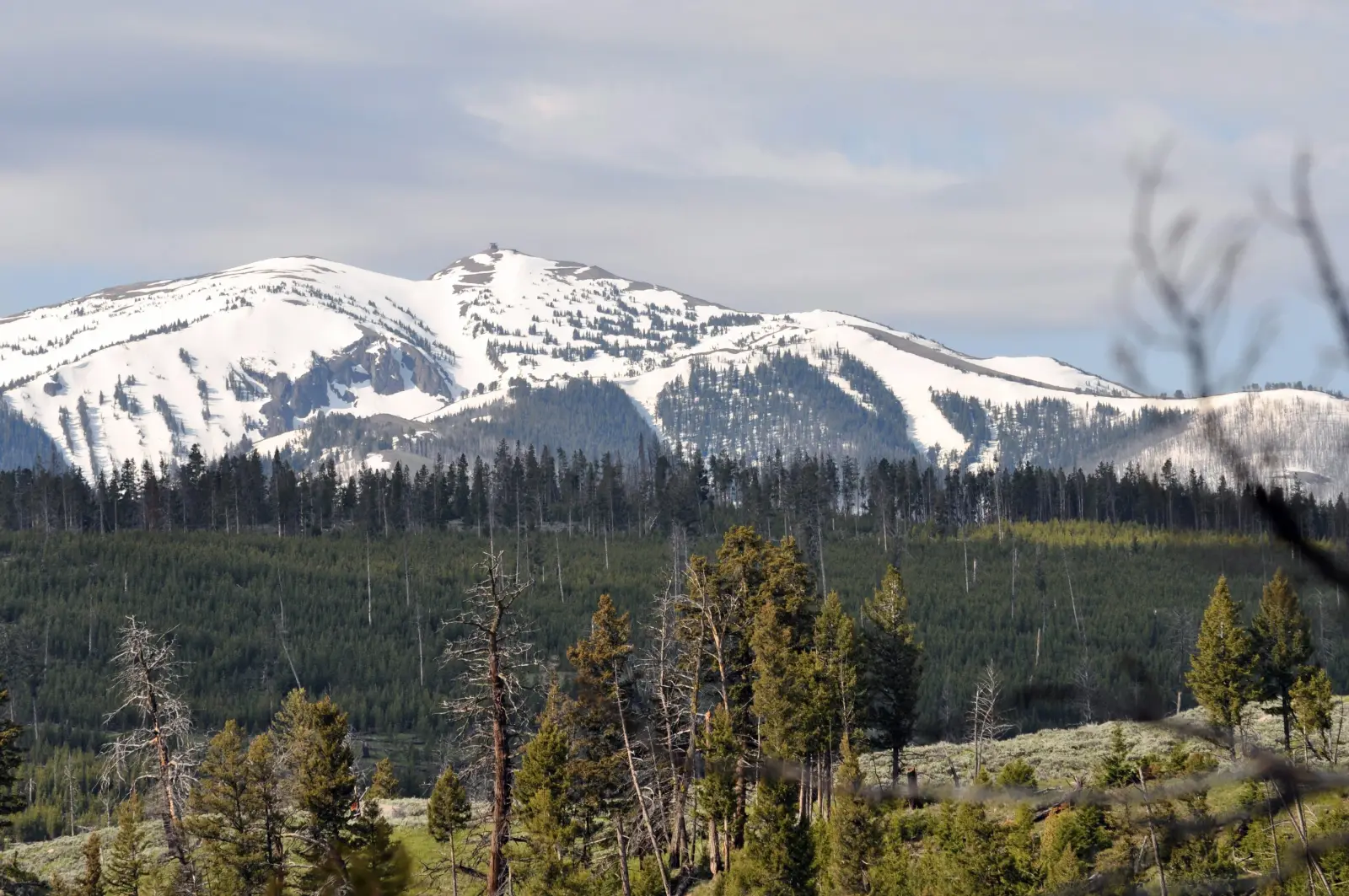 Mount Washburn