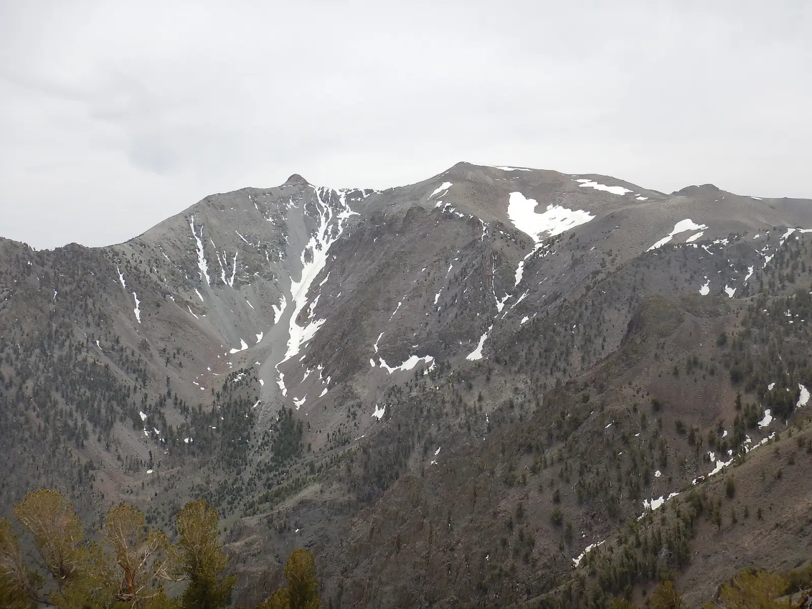 Toiyabe Dome